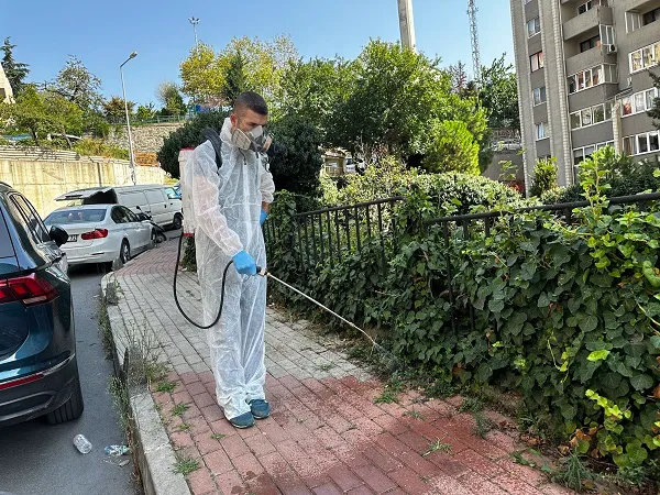 SİNEK VE HAŞERELERE KARŞI KÂĞITHANE’DE TAM ZAMANLI MÜCADELE